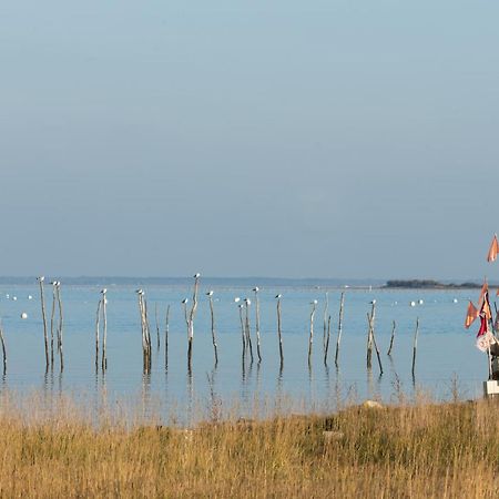 Ferret Vigne - Villa Chambres D'Hotes Lège-Cap-Ferret エクステリア 写真