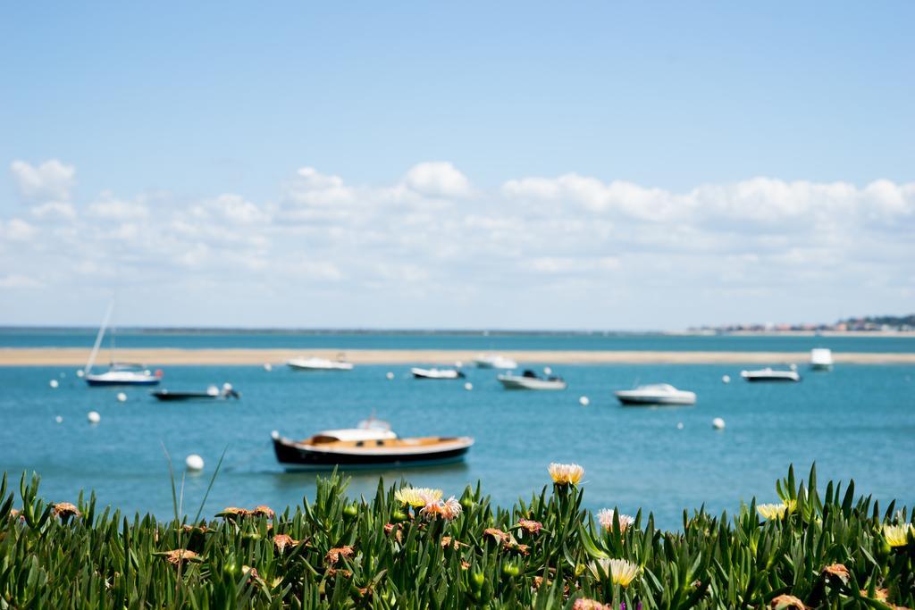 Ferret Vigne - Villa Chambres D'Hotes Lège-Cap-Ferret エクステリア 写真