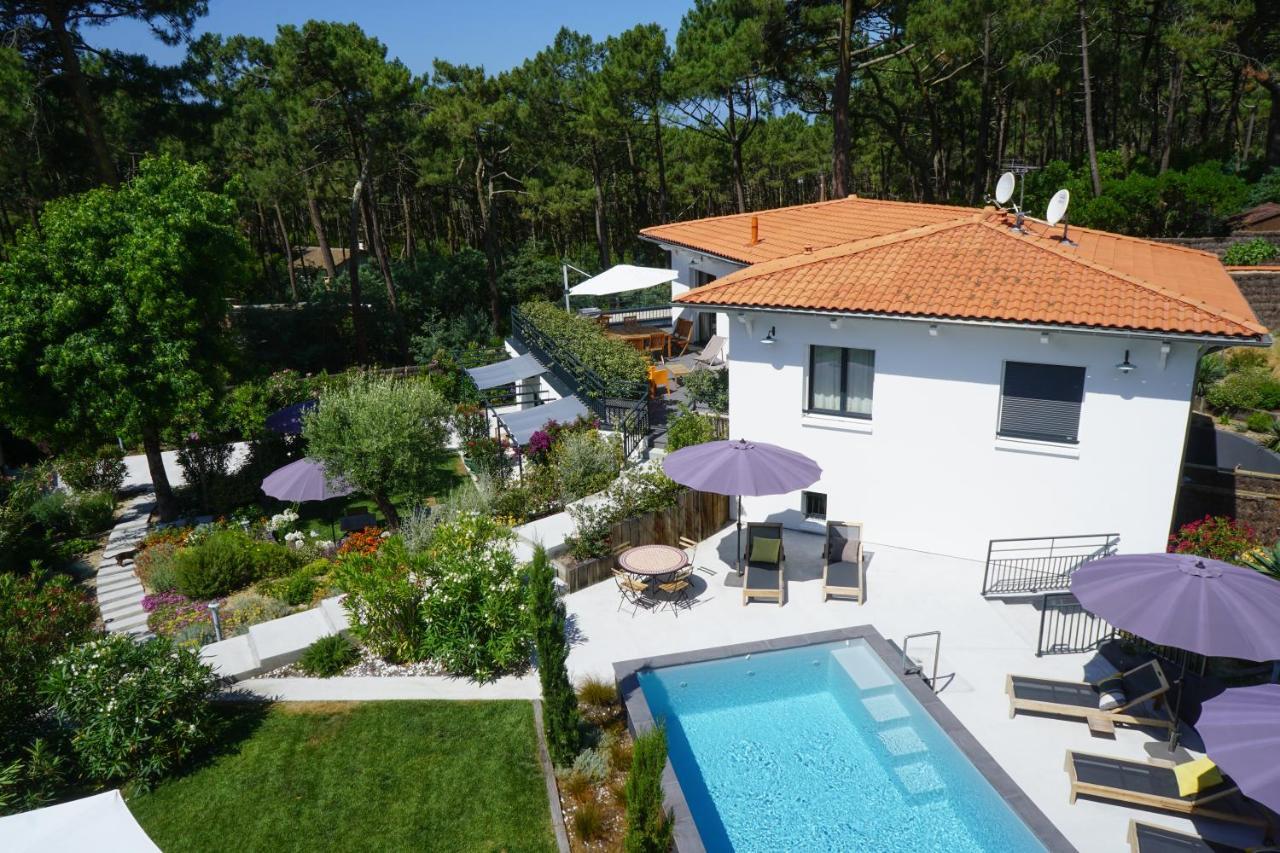 Ferret Vigne - Villa Chambres D'Hotes Lège-Cap-Ferret エクステリア 写真